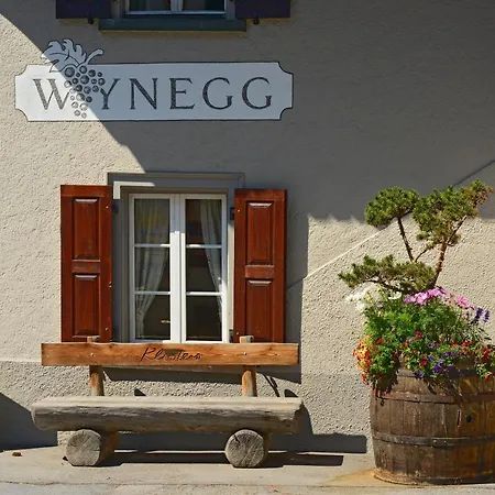Hotel Wynegg-3