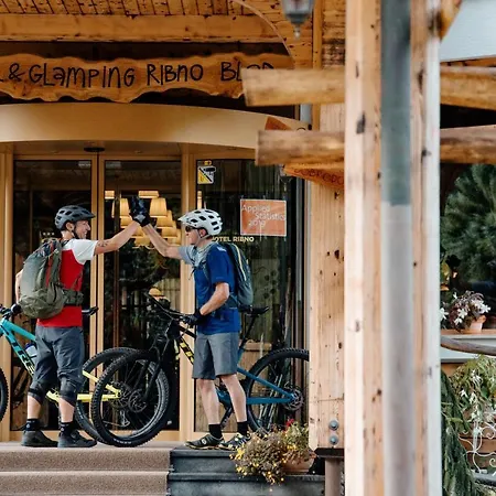 Ribno Alpine Hotel-3