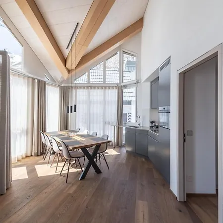 Andermatt Alpine Apartments-3