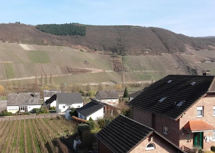 Gästehaus Moselblick Trittenheim