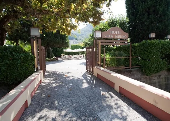Hotel Villa Mulino ***S Garda 