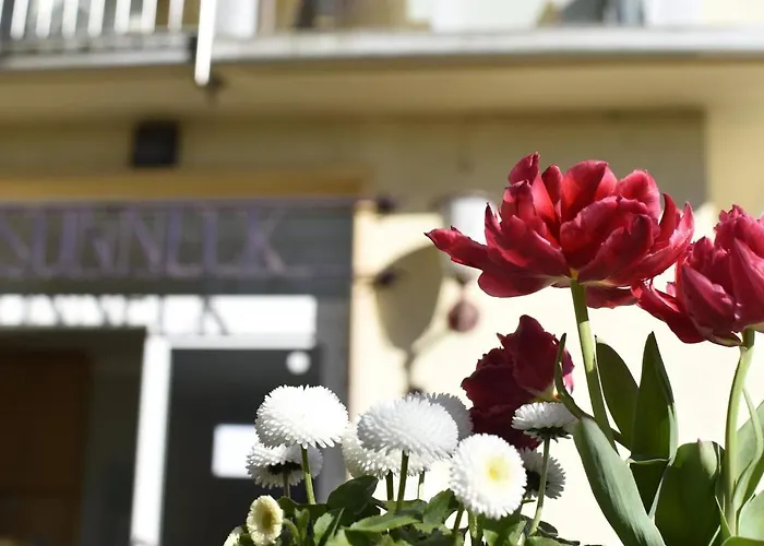 Hotel Haus Sonneck Marburg