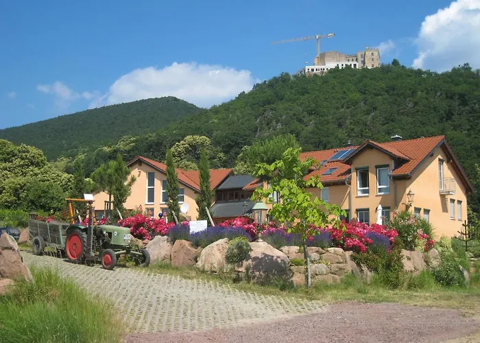 Weinhaus Paradies Neustadt an der Weinstraße