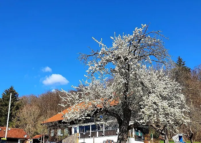 Schatzbergalm Pension Dießen am Ammersee
