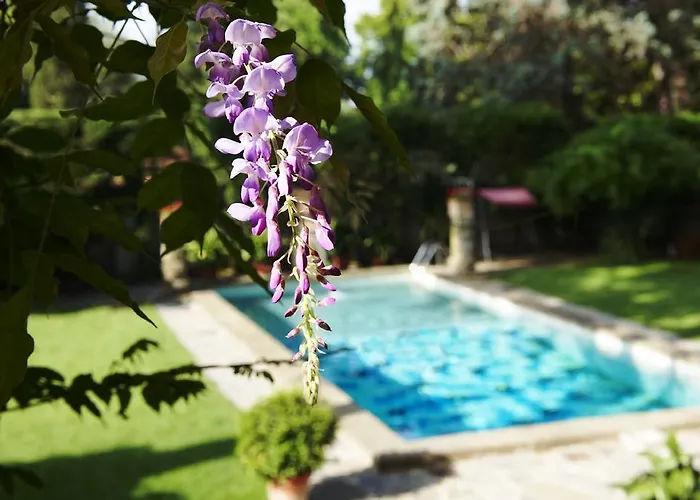 Park Palace Hotel Florenz