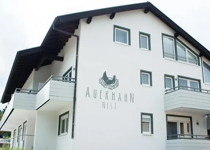 Hotel Auerhahn Nest Bad Wildbad