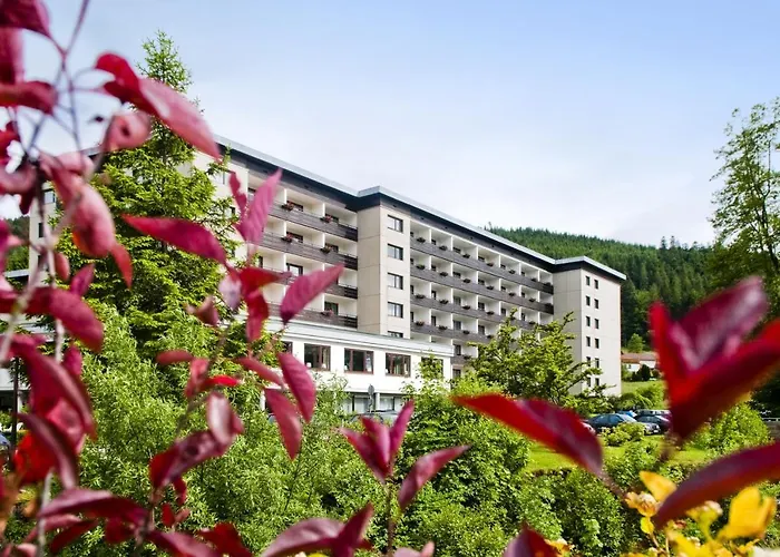 Rechtmurg 27 Baiersbronn