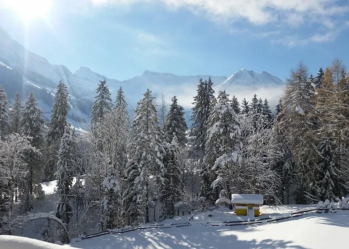 Hotel Crea Adelboden