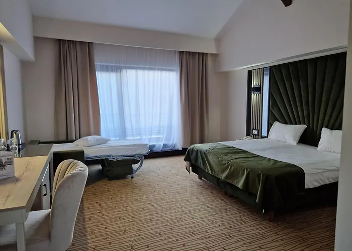 Hotel Wolf 2 Bran 