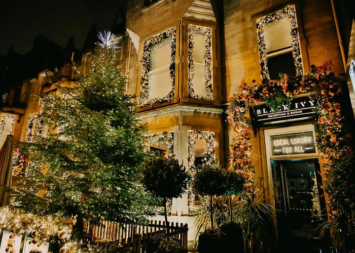 Black Ivy Edinburgh