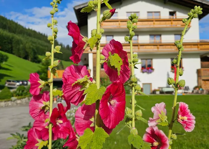 Bergkristall B&B Berwang