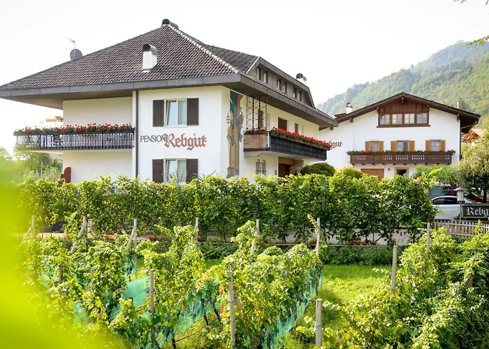 Pension Rebgut Lana