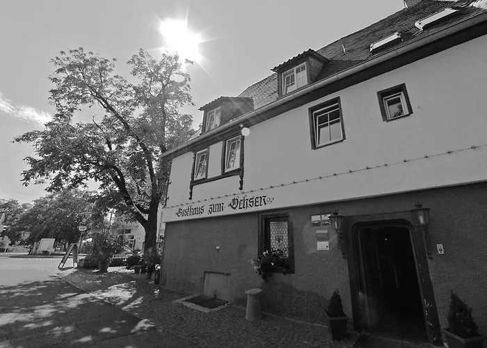 Gasthaus zum Ochsen Mannheim