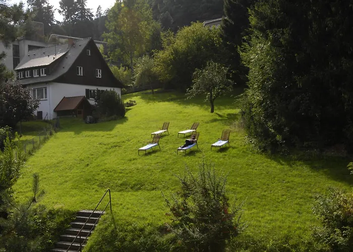 Hotel Bergfrieden Bad Wildbad