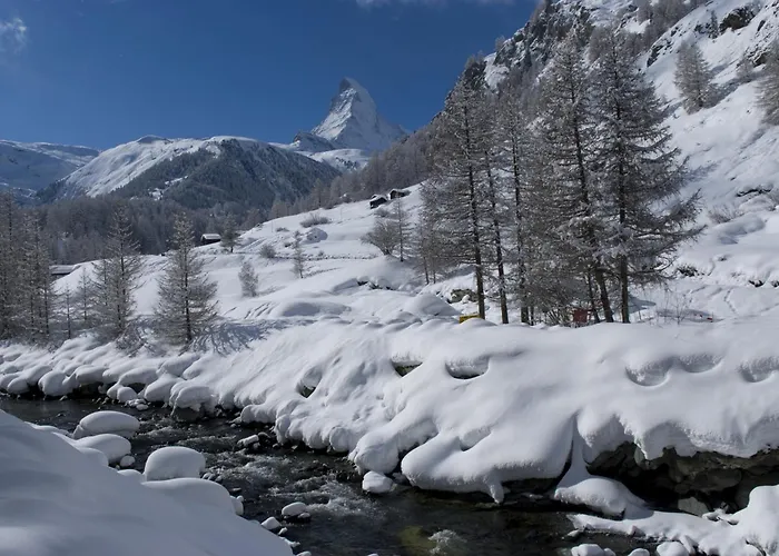 Hotel Garni Testa Grigia Zermatt
