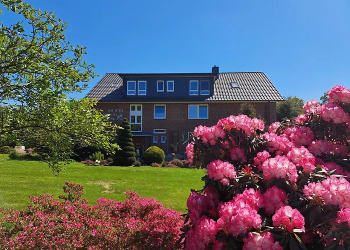 Pension Haus Monika Bispingen