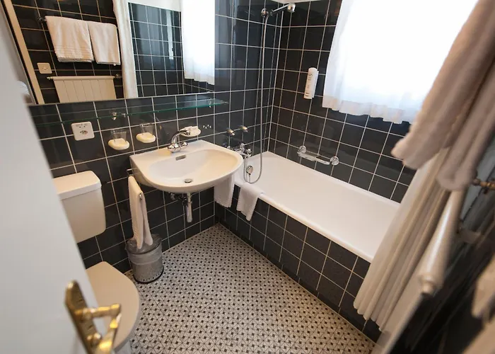 Hotel Provisorium13 Arosa