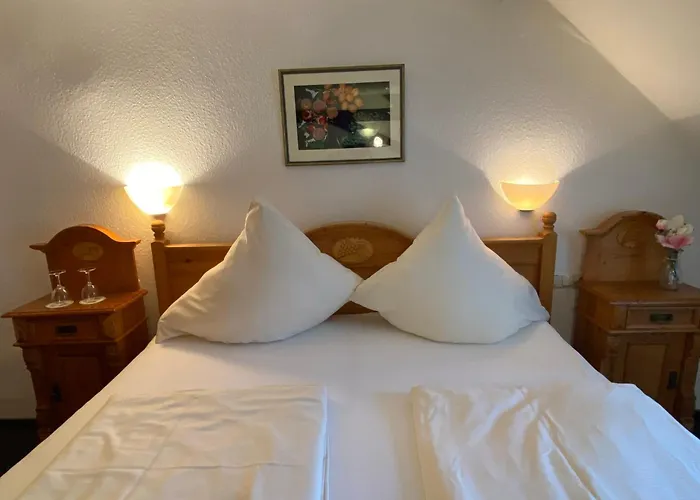 Hotel Hieronimi Cochem