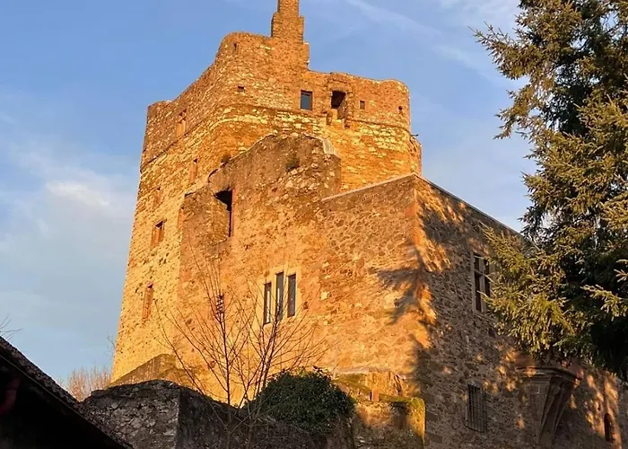 Burg Hermannstein - Rittersaal Wetzlar