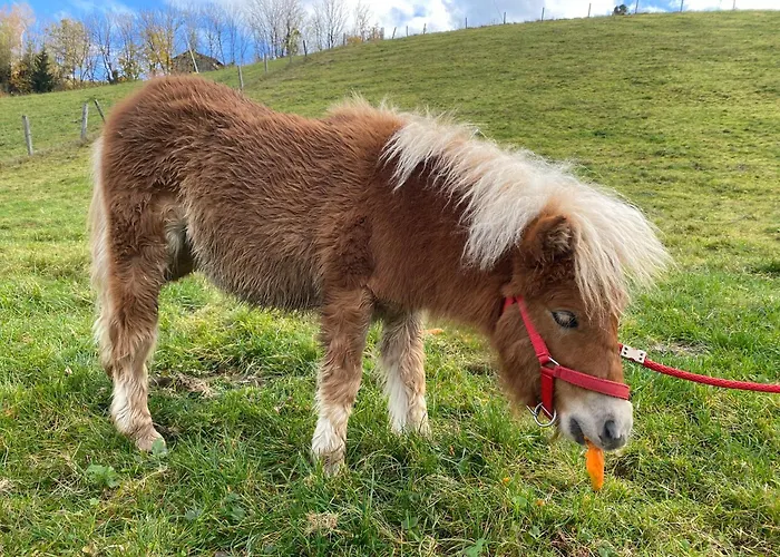 Hotel Starchlhof Schladming
