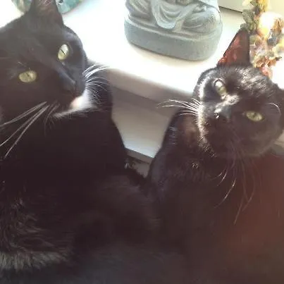 Kerstins Bed&Breakfast Egmond aan Zee