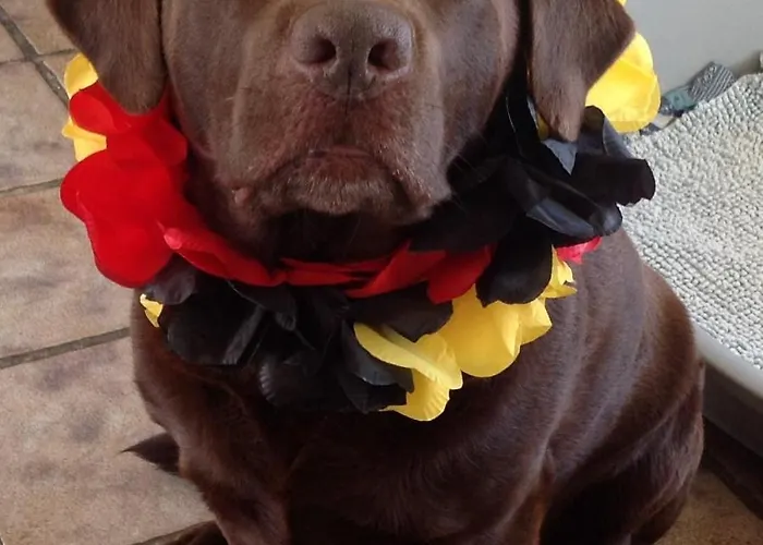 Kerstins Bed&Breakfast Egmond aan Zee