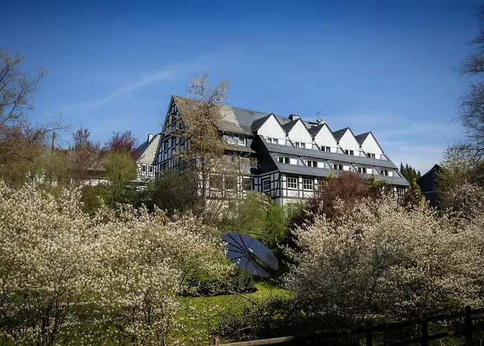 Hotel&Gasthof Hubertushöhe - Ihr Hotel für Urlaub mit Hund Schmallenberg