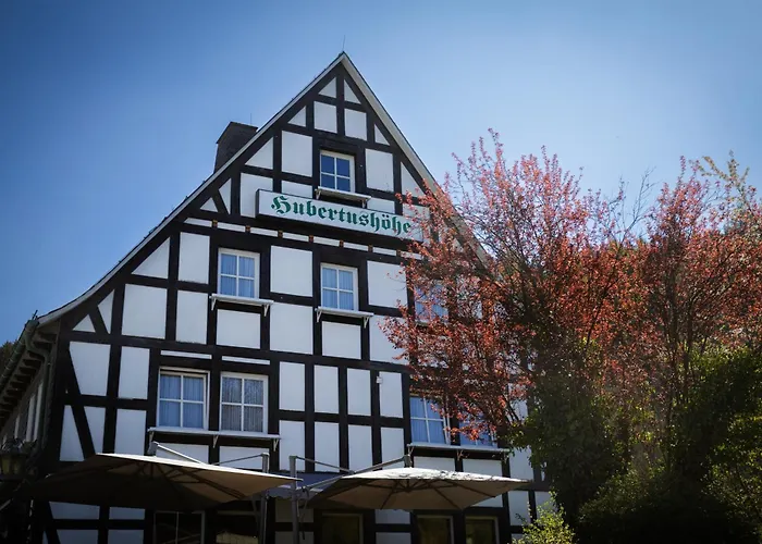 Hotel&Gasthof Hubertushöhe - Ihr Hotel für Urlaub mit Hund Schmallenberg