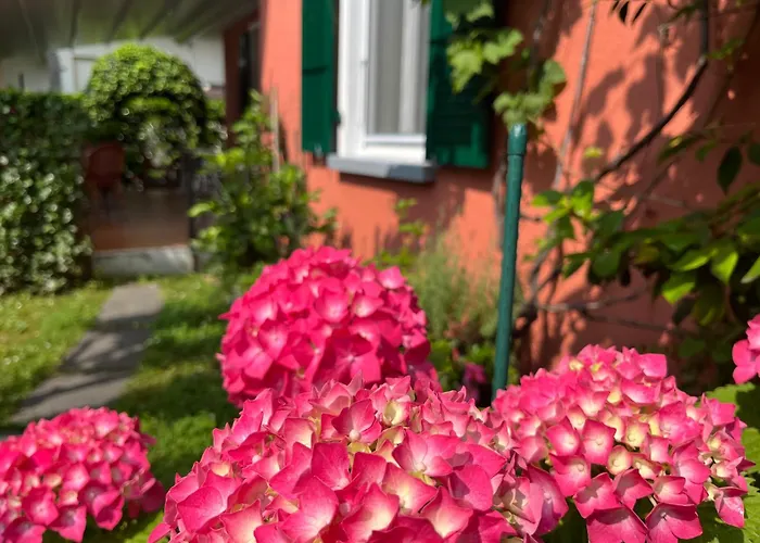 Hotel Garni Dei Fiori Ascona