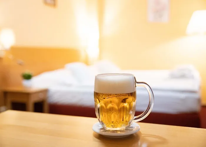 Hotel U Salzmannů Pilsen