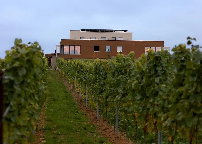 Vögelis WeinNest Landau in der Pfalz