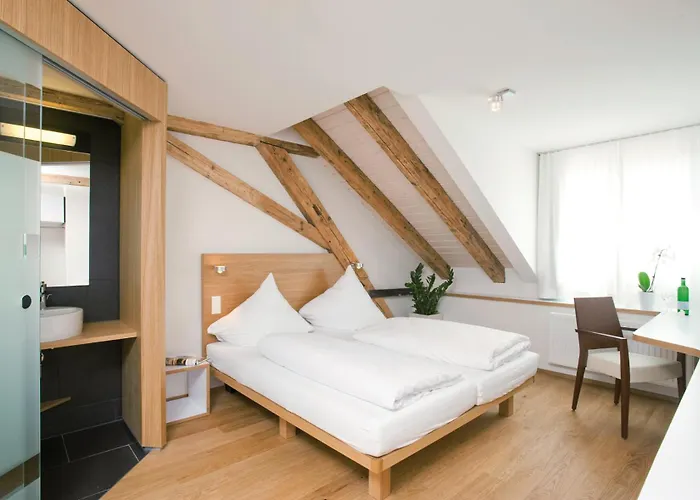 Hotel Constantia Konstanz