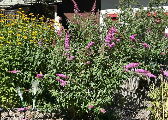 Hotel Adonis Zermatt