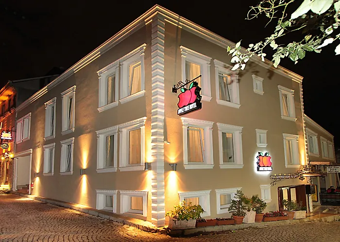 Apple Tree Hotel Istanbul