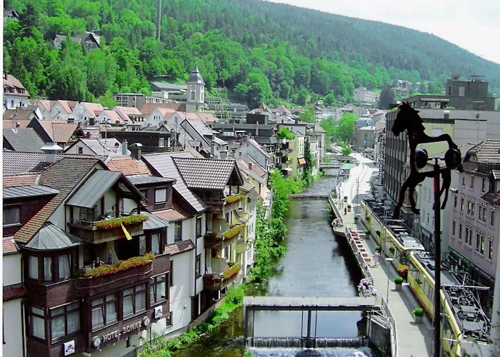 Vinami-Sonne Hotel Bad Wildbad