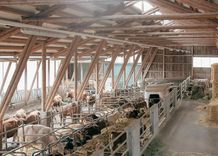 Hotel Pichlmayrgut Schladming