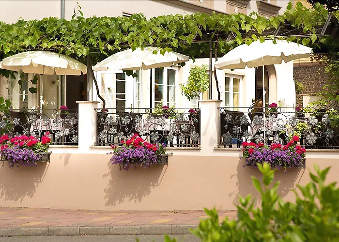 Hotel Zwei Mohren Rüdesheim am Rhein
