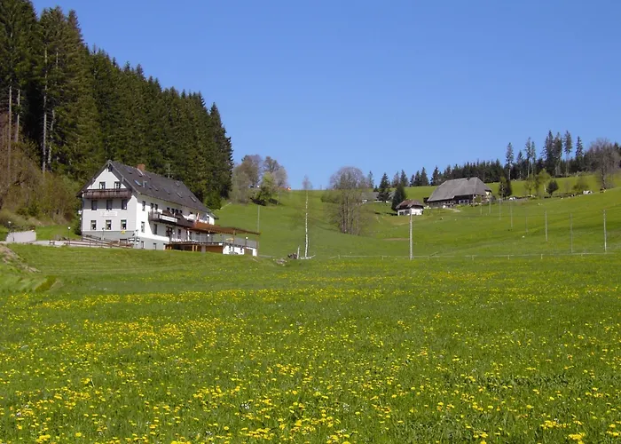 Gasthaus Pension Donishäusle Titisee-Neustadt