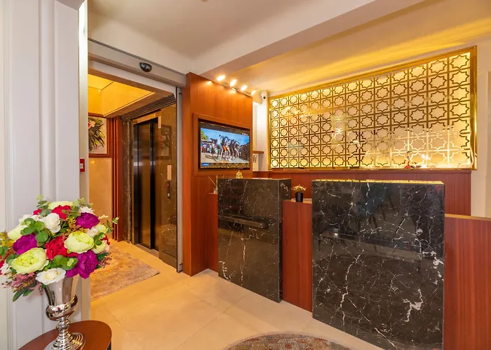 Blue Gilroy Hotel Istanbul