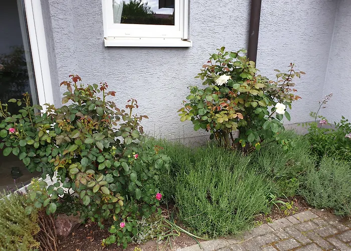 Pension Boitz Rust