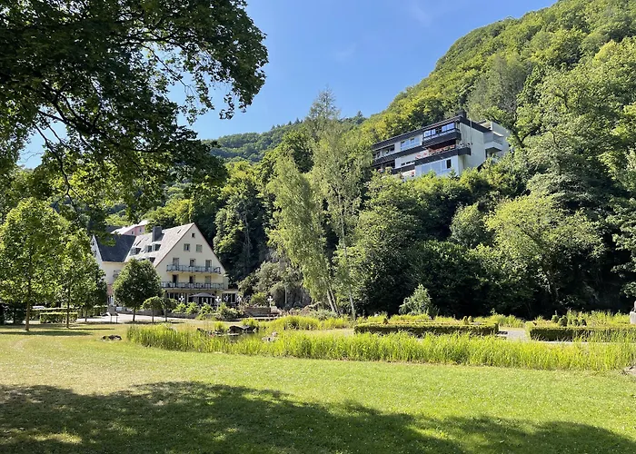 Hotel Alte Mühle Bad Bertrich