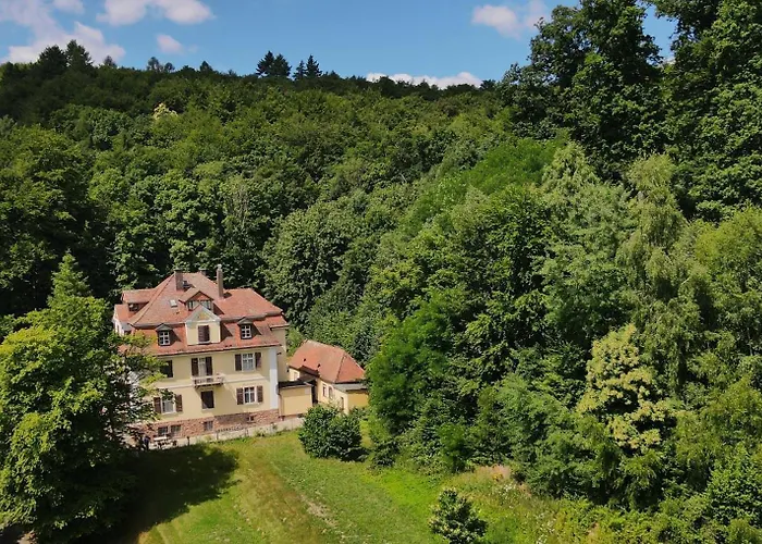 Rhön Hotel Waldcafé St. Georg Staatsbad Brückenau