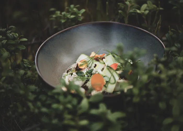 Aurora Igloo, Sauna Spa & Dinner By Invisible Forest Lodge Adults Only Rovaniemi