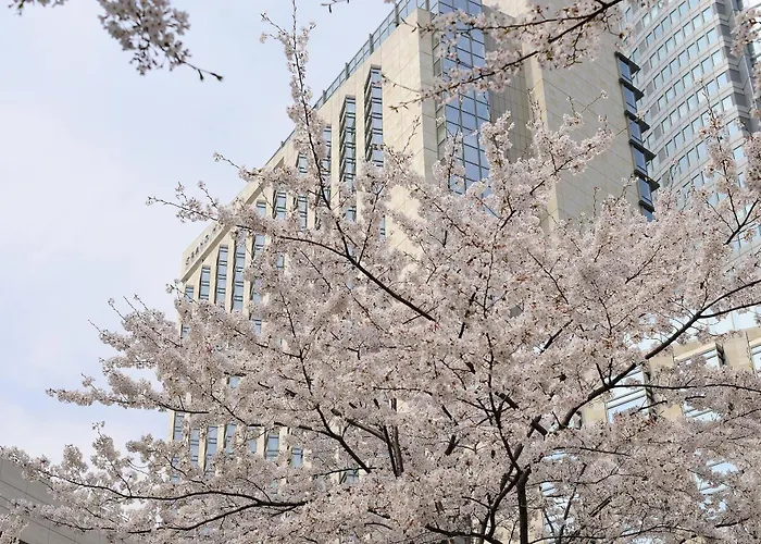 Hotel Grand Hyatt Präfektur Tokio
