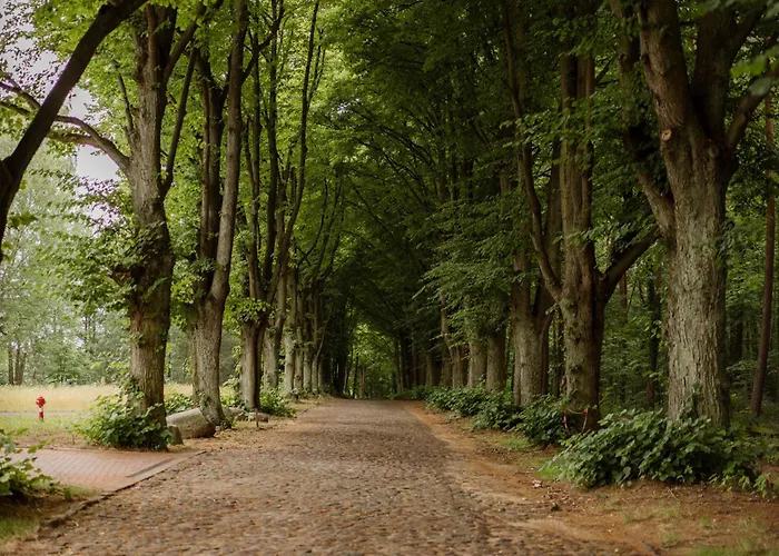 Dworek Bukowy Park Stettin