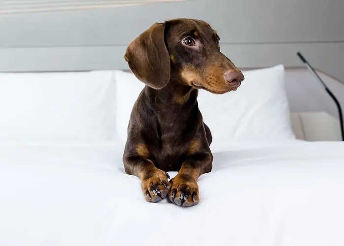 Melia White House Hotel London