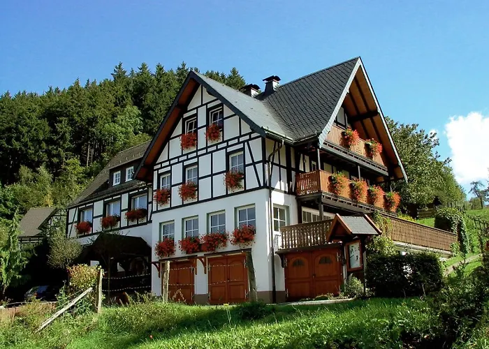 Lauras Landhauspension Medebach