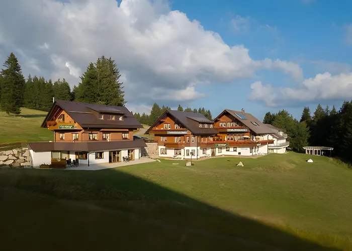 Cafe-Restaurant-Gästehaus Waldvogel Feldberg 