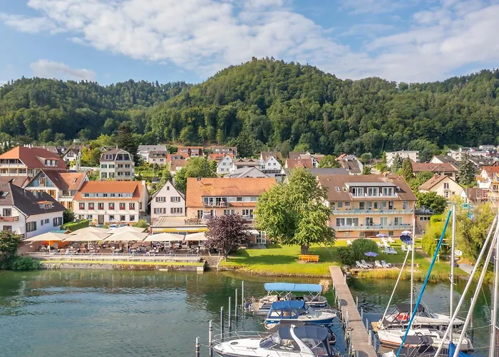 Hotel Pension Cafe Hasler Bodman-Ludwigshafen