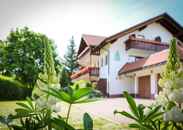 House Of Happiness By Apartmentglueck Schluchsee